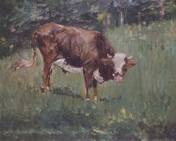 Edouard Manet Jeune taureau dans un pre (mk40) oil painting picture